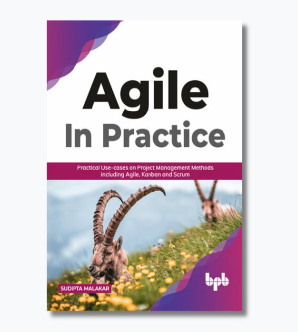 AGILE in Practice: Practical Use-cases on Project Management Methods including Agile, Kanban and Scrum
