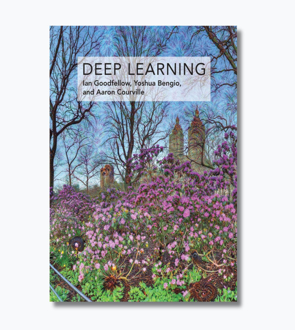 Deep learning: adaptive computation and machine learning