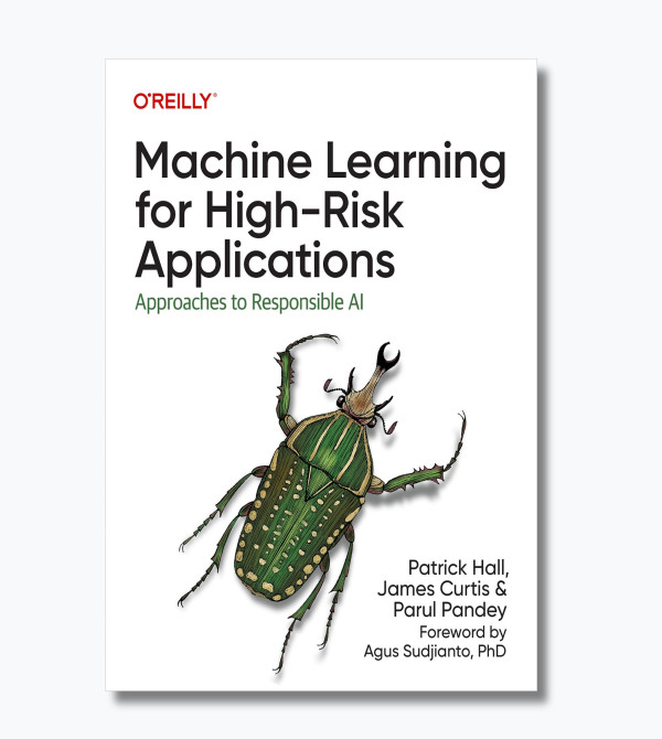 Machine Learning for High-Risk Applications: Approaches to Responsible AI
