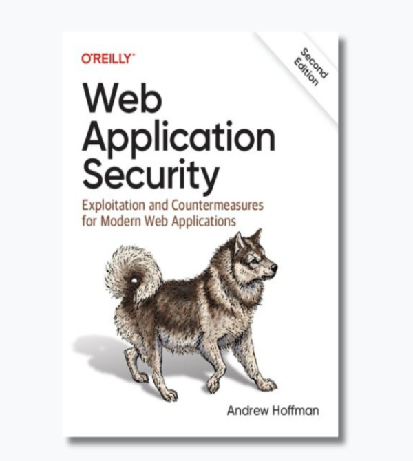 Web Application Security: Exploitation and Countermeasures for Modern Web Applications